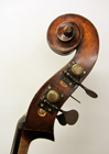Panormo Model